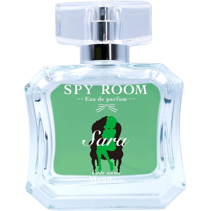 Spy Room - Sara